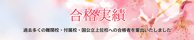 合格実績 過去多くの難関校・付属校・国公立上位校への合格者を輩出いたしました