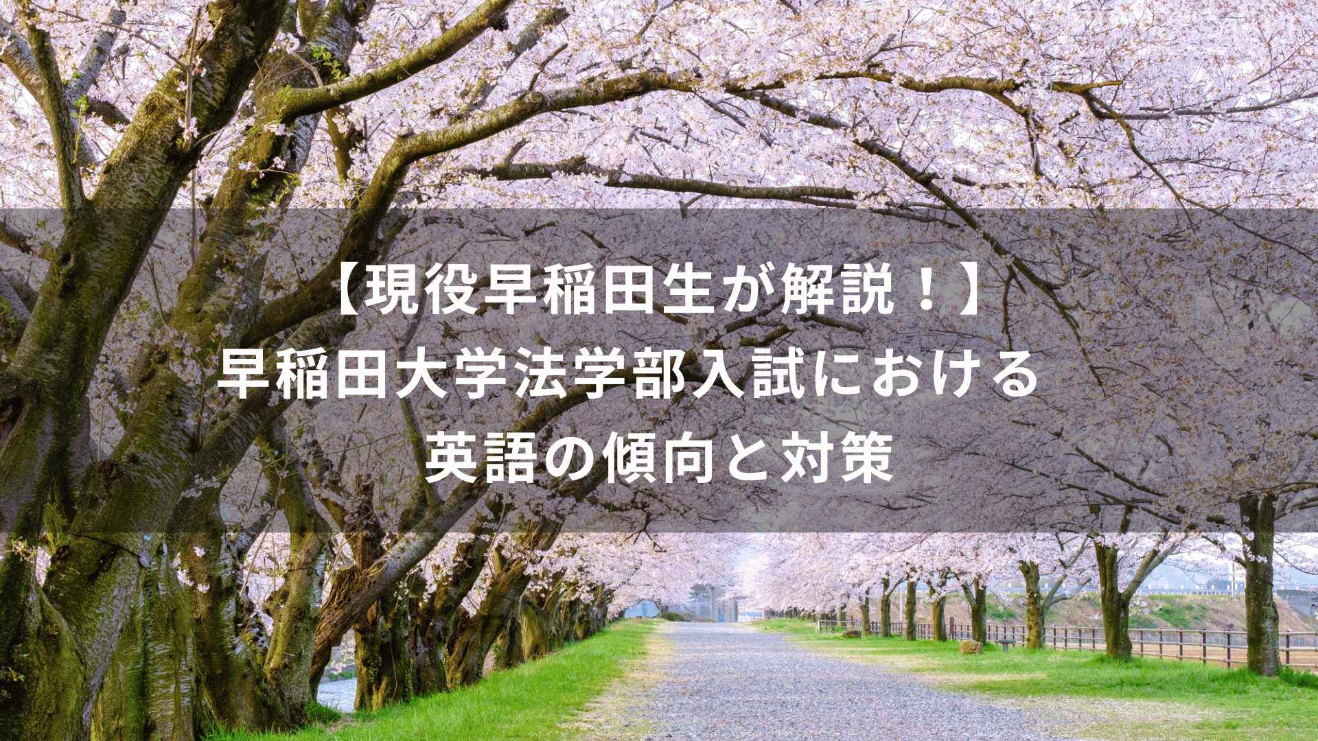 【現役早稲田生が解説！】早稲田大学法学部入試　における英語の傾向と対策